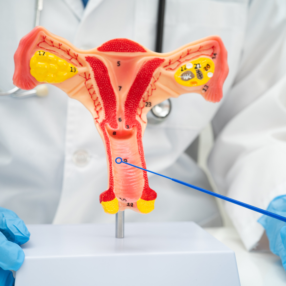 Clínica ginecológica en Wilmer para mujeres hispanas