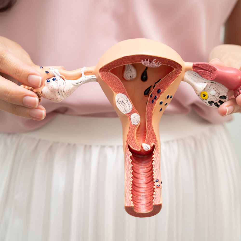 Qué estudios ginecológicos debe hacerse una mujer cada año